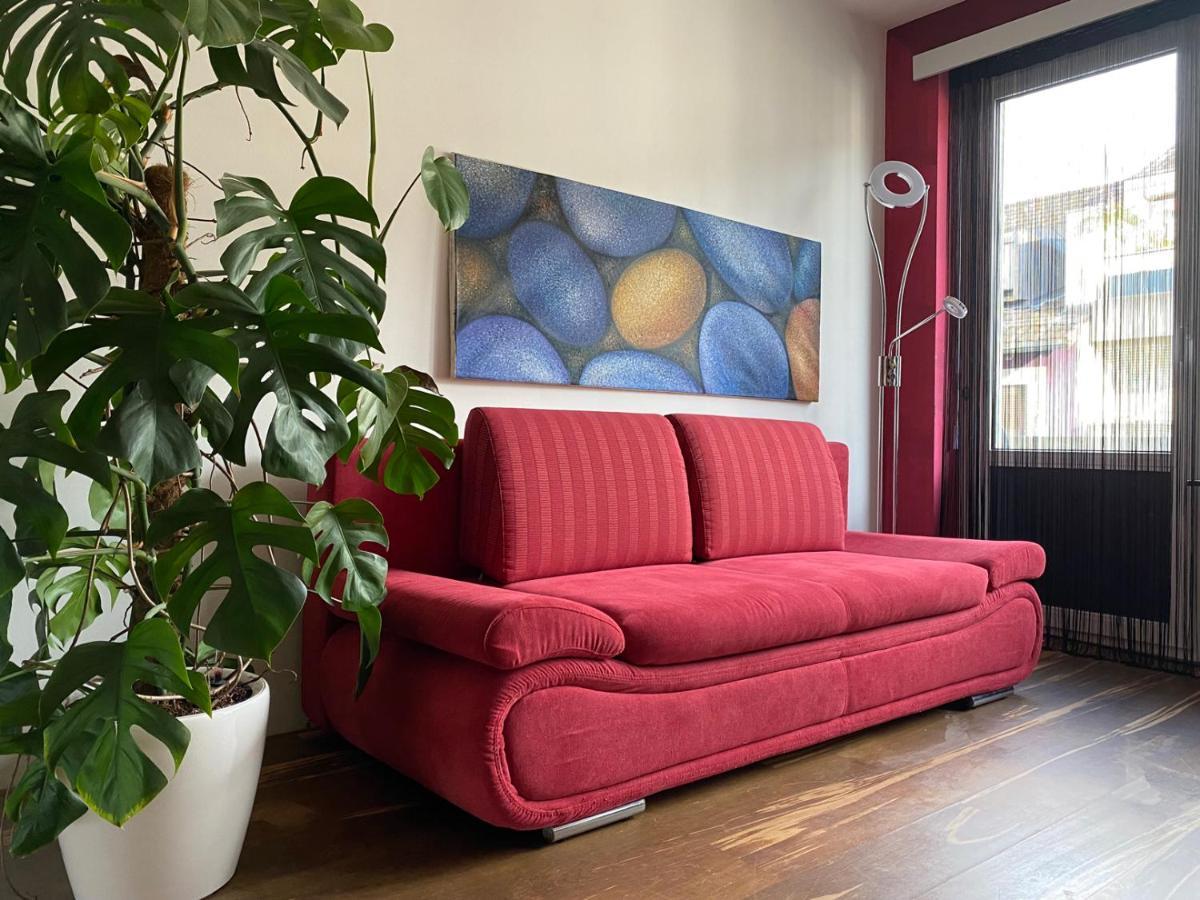 בזל Special Retreat Apartment & Home-Office & Workplace מראה חיצוני תמונה