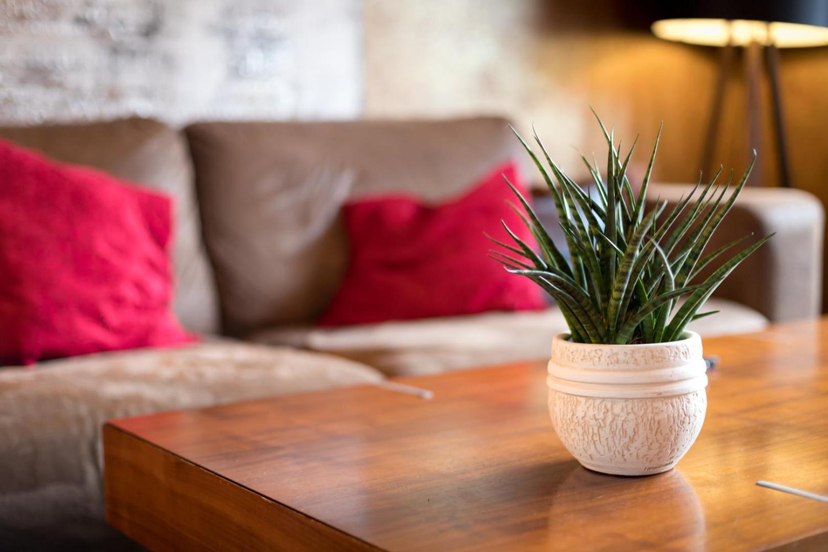 בזל Special Retreat Apartment & Home-Office & Workplace מראה חיצוני תמונה